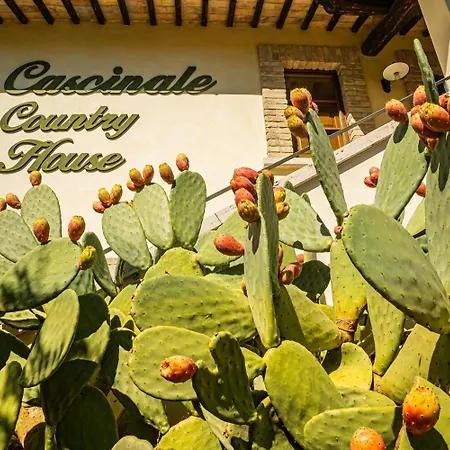 Country House Il Cascinale-2